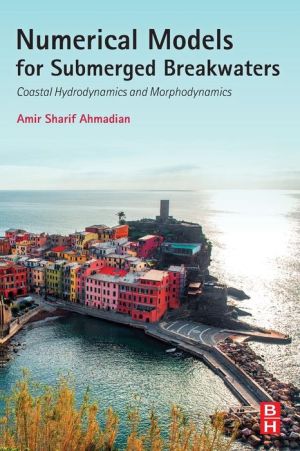 Numerical Models for Submerged Breakwaters: Coastal Hydrodynamics and Morphodynamics