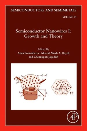Semiconductor Nanowires I: Growth and Theory