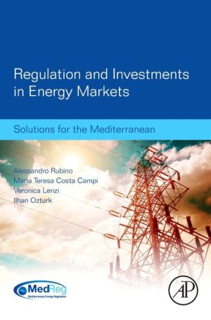 Regulation and Investments in Energy Markets: Solutions for the Mediterranean