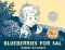 Blueberries for Sal (Picture Puffin Books Series)
