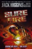 Sure Fire (Rich and Jade Series #1)