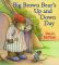 Big Brown Bear's Up and Down Day