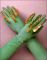 Shocking!: The Art and Fashion of Elsa Schiaparelli