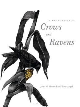 In the Company of Crows and Ravens John M. Marzluff, Paul R. Ehrlich and Tony Angell