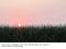 Apocalyptic Planet: Field Guide to the Everending Earth