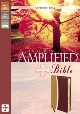 Amplified Bible, Large Print Zondervan
