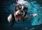Underwater Dogs