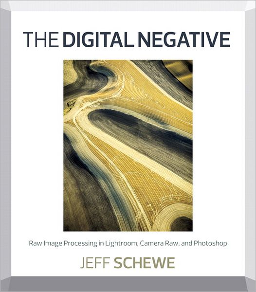 The Digital Negative: Raw Image Processing in Lightroom, Camera Raw, and Photoshop