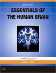 Book Cover Image. Title: Essentials of the Human Brain:  With STUDENT CONSULT Online Access, Author: John Nolte