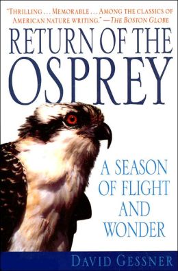 Return of the Osprey: A Season of Flight and Wonder
