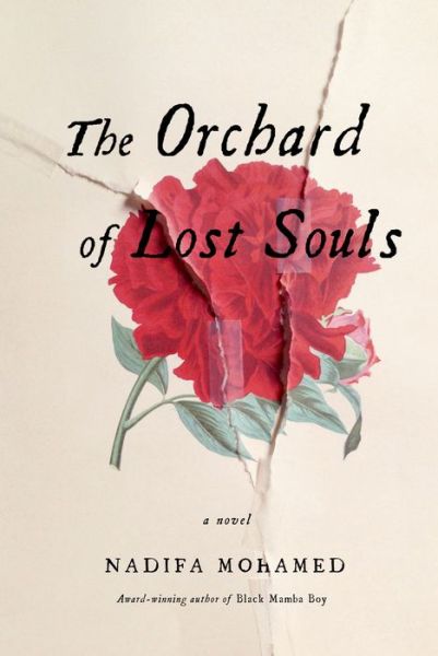 The Orchard of Lost Souls: A Novel