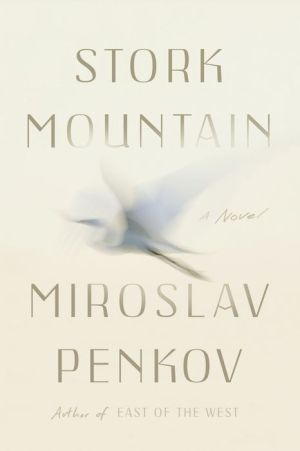 Stork Mountain: A Novel