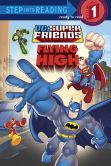 Book Cover Image. Title: Flying High (DC Super Friends), Author: Nick Eliopulos