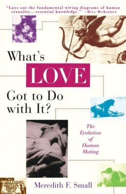 What's Love Got to Do with It?