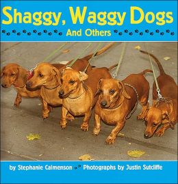 Shaggy, Waggy Dogs (And Others)