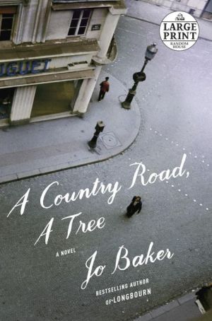 A Country Road, A Tree: A Novel