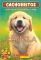 Canela (Cachorritos Series #1) (The Puppy Place: Goldie)