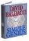 Simple Genius (Sean King and Michelle Maxwell Series #3)