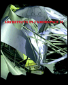 Further Architects in Cyberspace II