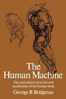 The Human Machine: The Anatomical Structure and Mechanism of the Human Body