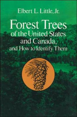 Forest Trees of the United States and Canada: And How to Identify Them