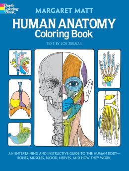 Human Anatomy Coloring Book by Margaret Matt ...