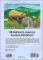 Alaskan Wildlife Coloring Book
