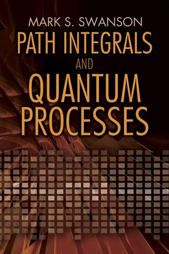 Path Integrals and Quantum Processes