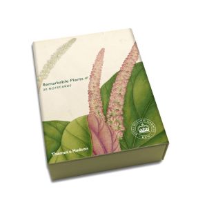 Remarkable Plants: Notecards: Box of 20