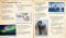 Polar Animals: In Search of Polar Bears, Penguins, Whales and Seals