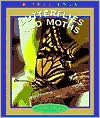 Butterflies and Moths