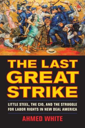 The Last Great Strike: Little Steel, the CIO, and the Struggle for Labor Rights in New Deal America