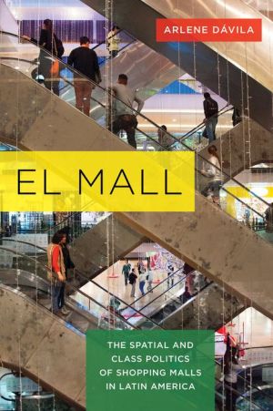 El Mall: The Spatial and Class Politics of Shopping Malls in Latin America