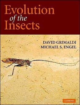 Evolution of the Insects