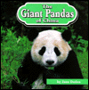 The Giant Pandas of China