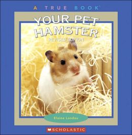 Your Pet Hamster