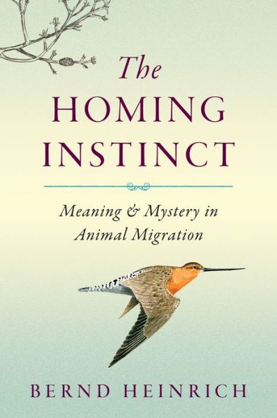 The Homing Instinct Meaning and Mystery in Animal Migration image