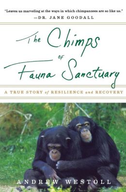 The Chimps of Fauna Sanctuary: A True Story of Resilience and Recovery