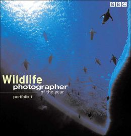 Wildlife Photographer of the Year 11