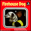Firehouse Dog