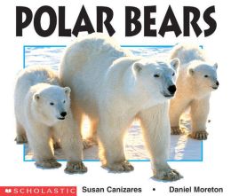 Polar Bears