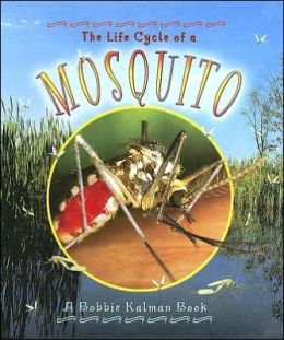 Mosquito