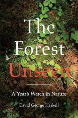 The Forest Unseen: A Year's Watch in Nature