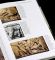 Greek Architecture and Its Sculpture