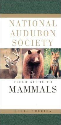 Mammals Of North America Peterson Field Guides