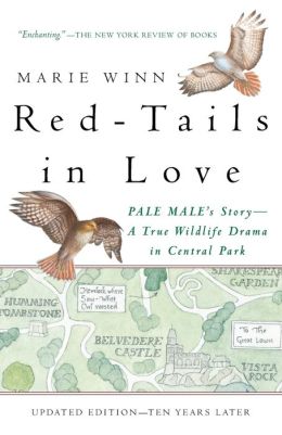 Red-Tails in Love: A Wildlife Drama in Central Park