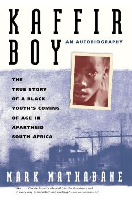 apartheid laws in south africa essay apartheid laws in south africa essay