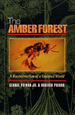 The Amber Forest: A Reconstruction of a Vanished World