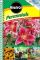 Perennials: Brighten Your Yard with Beautiful Perennials