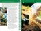 Perennials: Brighten Your Yard with Beautiful Perennials